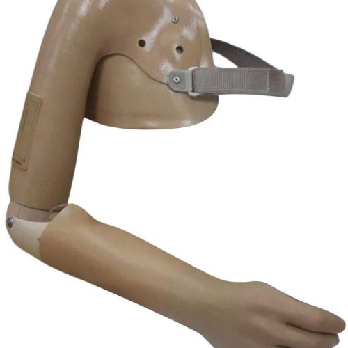 Shoulder-Disarticulation-Forequarter